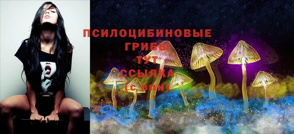 ГАЛЛЮЦИНОГЕННЫЕ ГРИБЫ Алексин