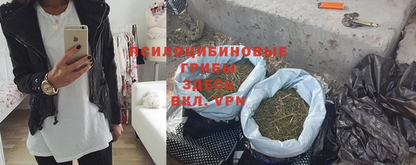 ГАЛЛЮЦИНОГЕННЫЕ ГРИБЫ Алексин