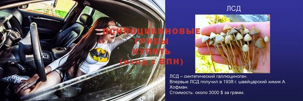 а пвп мука Алексеевка