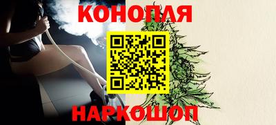 индика Владимир