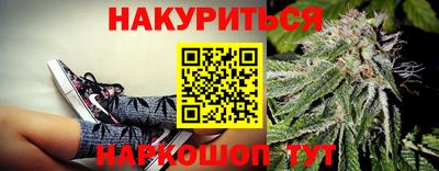 индика Владимир