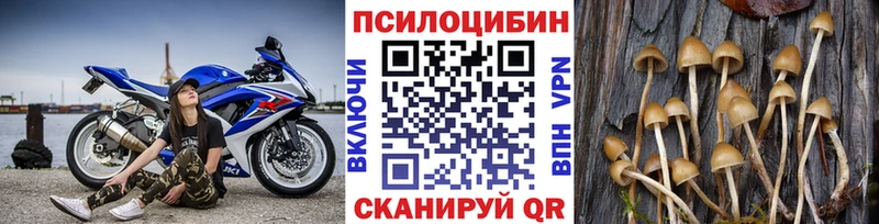 Галлюциногенные грибы GOLDEN TEACHER  цена наркотик  Нарьян-Мар 