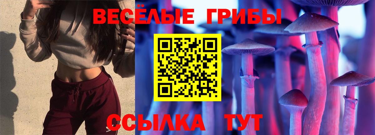 Галлюциногенные грибы ЛСД  Псилоцибиновые грибы Cubensis  Нарьян-Мар  Вход с VPN 